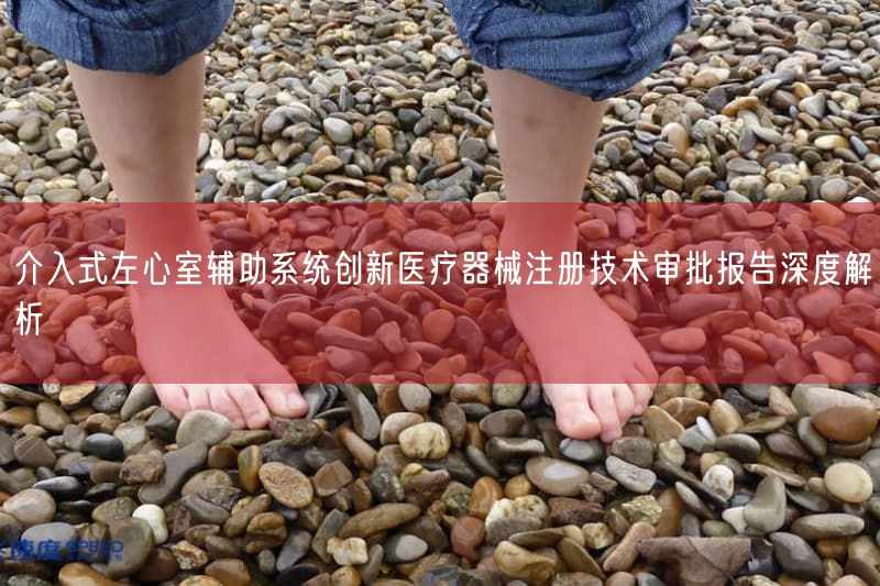 介入式左心室辅助系统创新医疗器械注册技术审批报告深度解析