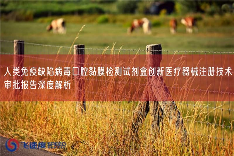 人类免疫缺陷病毒口腔黏膜检测试剂盒创新医疗器械注册技术审批报告深度解析(图1)