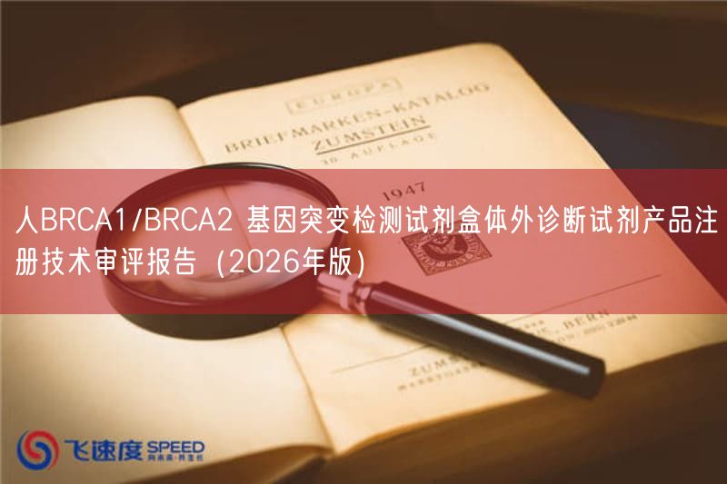 人BRCA1/BRCA2 基因突变检测试剂盒体外诊断试剂产品注册技术审评报告（2026年版）(图1)