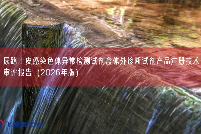 尿路上皮癌染色体异常检测试剂盒体外诊断试剂产品注册技术审评报告（2026年版）(图1)