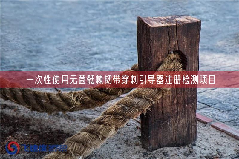 一次性使用无菌骶棘韧带穿刺引导器注册检测项目(图1) 一次性使用无菌骶棘韧带穿刺引导器注册检测项目(图1)