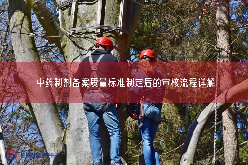 中药制剂备案质量标准制定后的审核流程详解(图1) 中药制剂备案质量标准制定后的审核流程详解(图1)