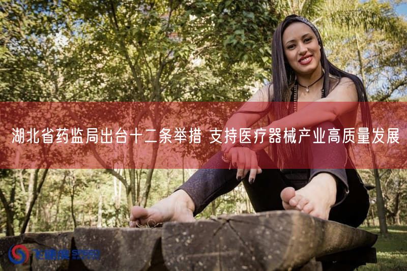 湖北省药监局出台十二条举措 支持医疗器械产业高质量发展(图1)
