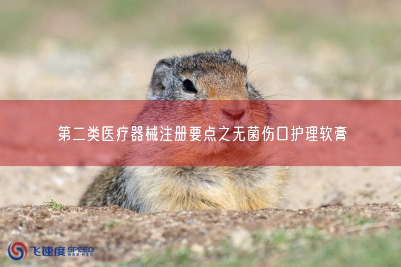 无菌伤口护理软膏注册要点解析:4大根本步骤与产品结构(图1) 无菌伤口护理软膏注册要点解析:4大根本步骤与产品结构(图1)