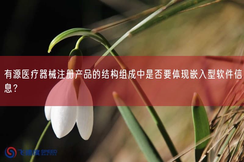 有源医疗器械注册结构组成是否需体现嵌入式软件信息?2026年官方答复(图1) 有源医疗器械注册结构组成是否需体现嵌入式软件信息?2026年官方答复(图1)