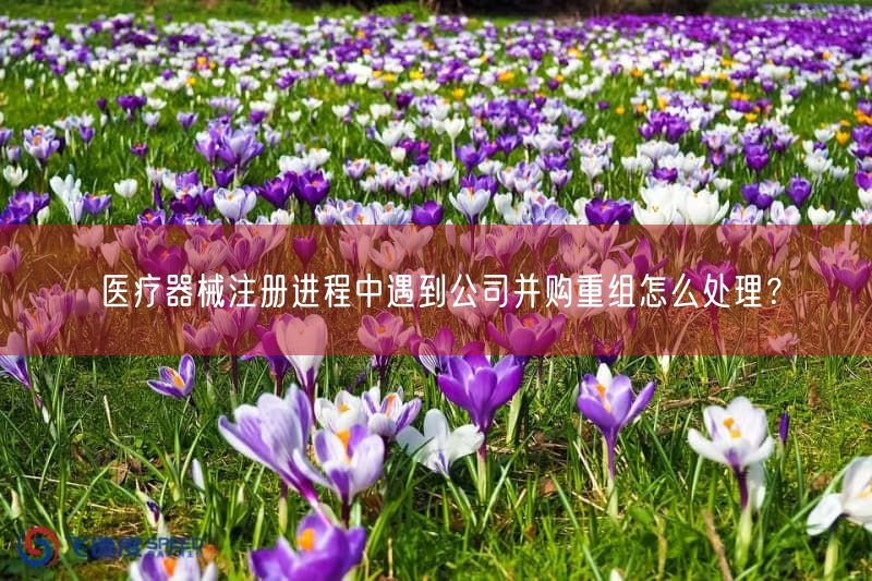 医疗器械注册中公司并购后的资料策略与3项根本关注点(图1) 医疗器械注册中公司并购后的资料策略与3项根本关注点(图1)