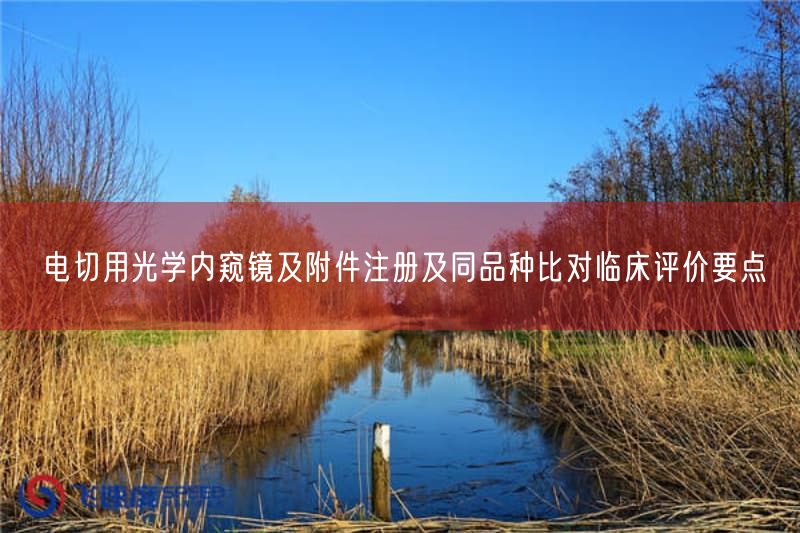 电切用光学内窥镜注册指南：同品种比对临床评价要点与数据解析(图1)