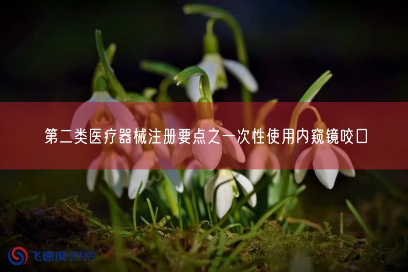 一次性内窥镜咬口二类医疗器械注册要点与灭菌工艺解析(图1)