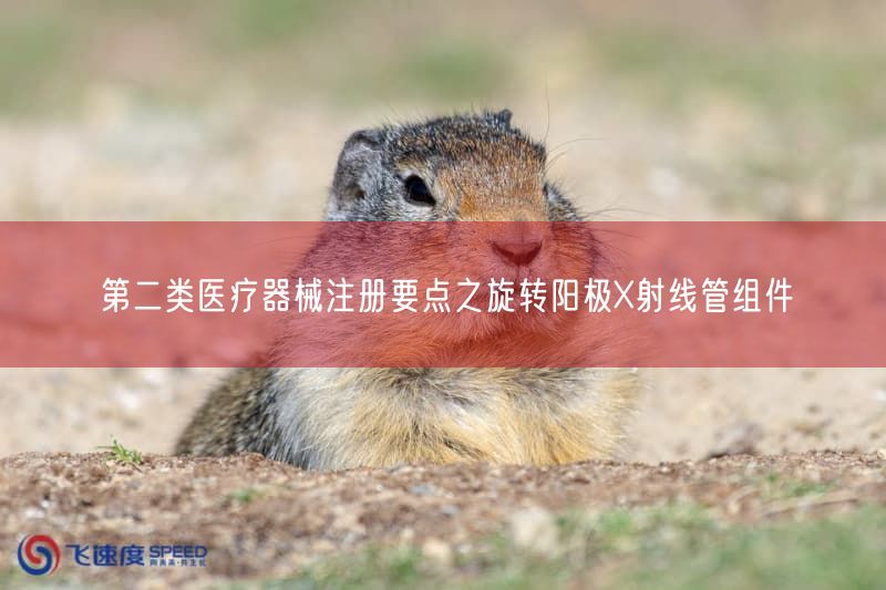 旋转阳极X射线管组件注册要点：结构原理与根本标准详解(图1)