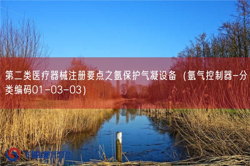 第二类医疗器械注册要点之氩保护气凝设备（氩气控制器-分类编码01-03-03）(图1)