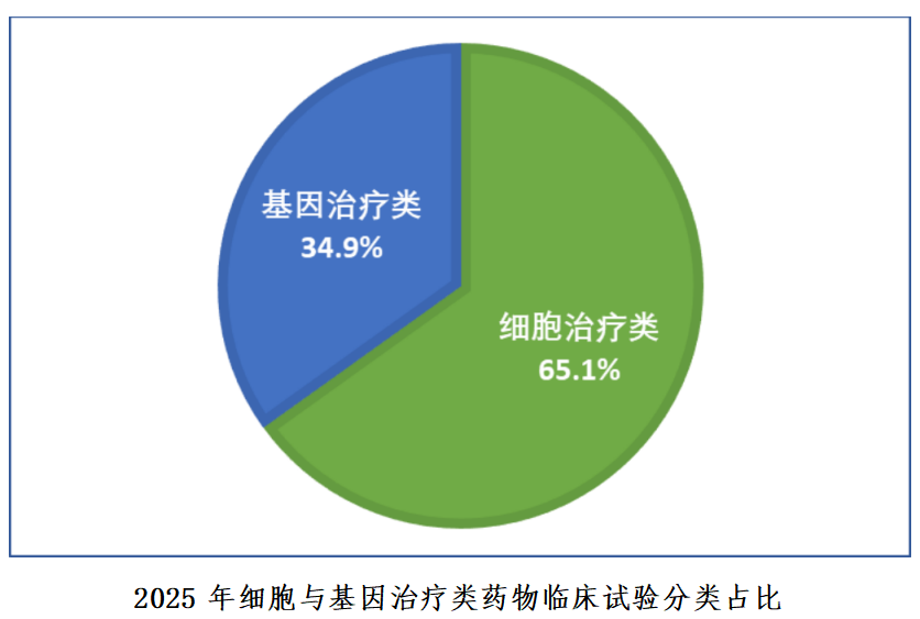 重磅！国家药监局药审中心发布《中国新药注册临床试验进展年度报告（2025年）》(图39)