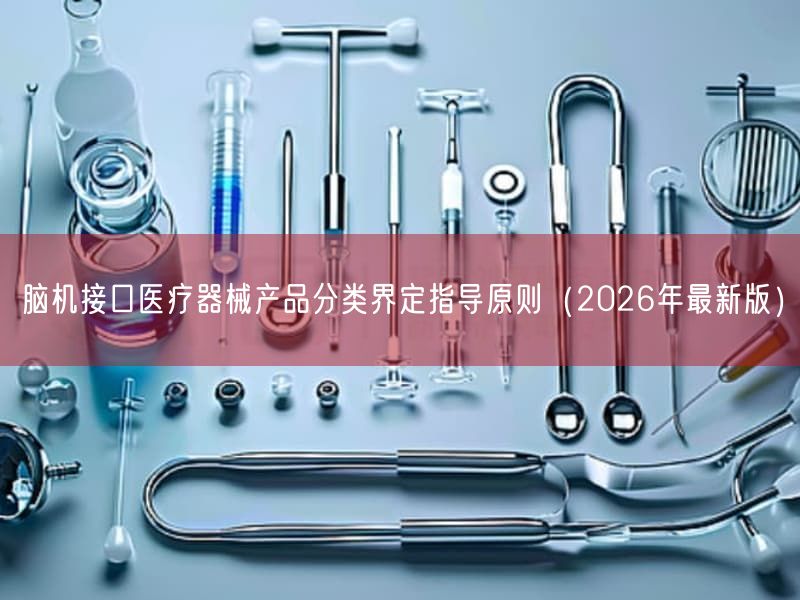 脑机接口医疗器械产品分类界定指导原则（2026年最新版）(图1)