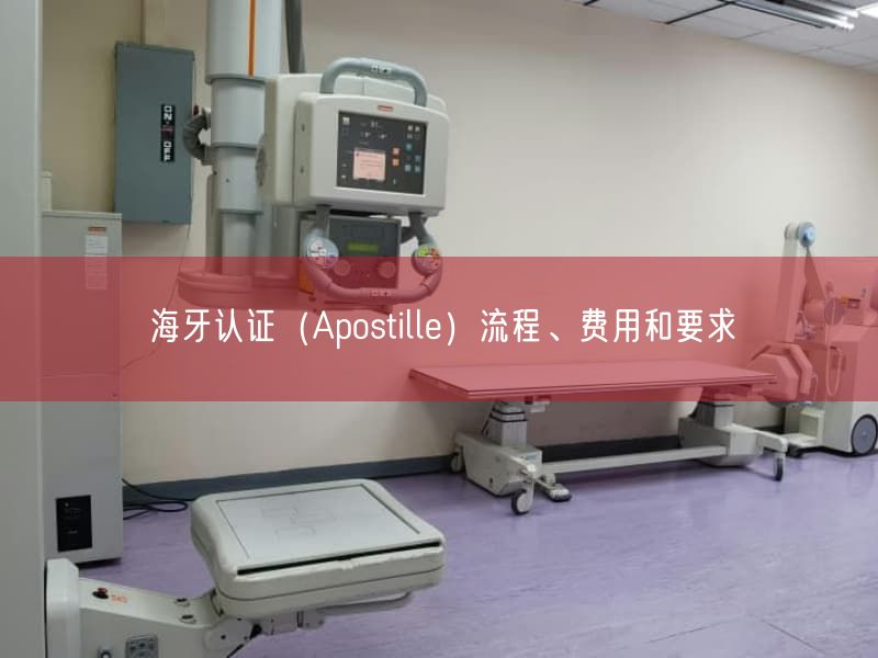 海牙认证（Apostille）流程、费用与要求