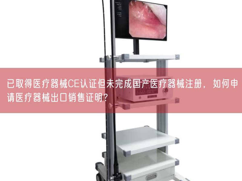 已取得医疗器械CE认证但未完成国产医疗器械注册，如何申请医疗器械出口销售证明？(图1)