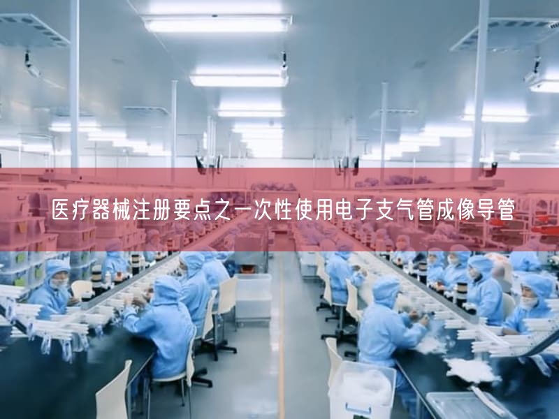 医疗器械注册要点之一次性使用电子支气管成像导管(图1)