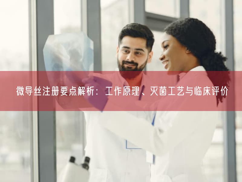 微导丝注册要点解析：工作原理、灭菌工艺与临床评价(图1)