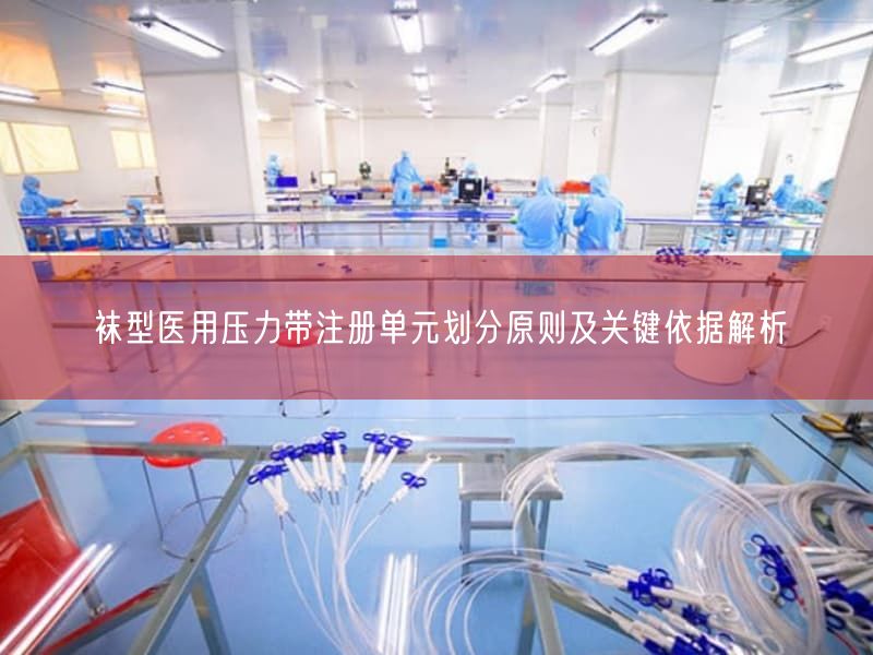 袜型医用压力带注册单元划分原则及根本依据解析(图1) 袜型医用压力带注册单元划分原则及根本依据解析(图1)