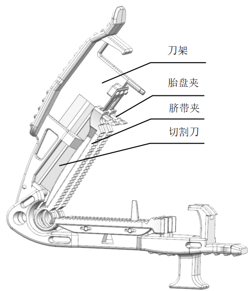 一次性使用脐带剪注册审查指导原则(2026年最新版)(图1) 一次性使用脐带剪注册审查指导原则(2026年最新版)(图1)