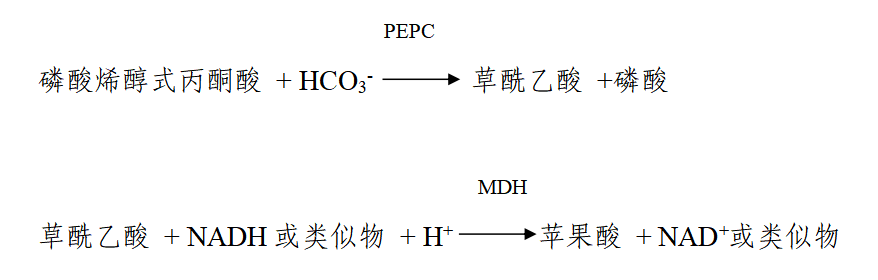 二氧化碳测定试剂注册审查指导原则(2026年最新版)(图2) 二氧化碳测定试剂注册审查指导原则(2026年最新版)(图2)