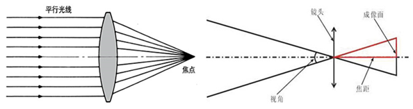 电子阴道显微镜注册审查指导原则(2026年修订版)(图6) 电子阴道显微镜注册审查指导原则(2026年修订版)(图6)