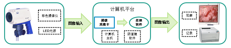 电子阴道显微镜注册审查指导原则(2026年修订版)(图4) 电子阴道显微镜注册审查指导原则(2026年修订版)(图4)