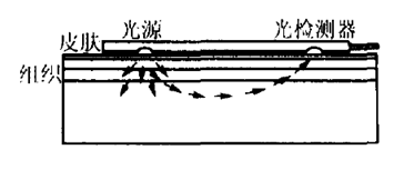 脉搏血氧仪注册审查指导原则(2026年修订版)(图3) 脉搏血氧仪注册审查指导原则(2026年修订版)(图3)
