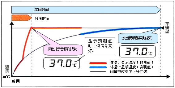 医用电子体温计注册审查指导原则（2026年修订版）(图2)