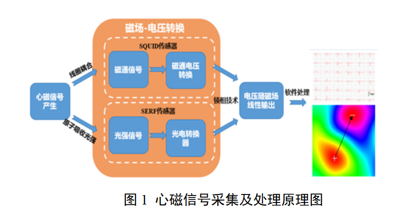 心磁信号采集设备注册审查指导原则(2026年版)(图1) 心磁信号采集设备注册审查指导原则(2026年版)(图1)