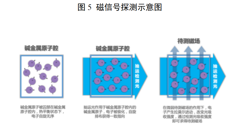 心磁信号采集设备注册审查指导原则(2026年版)(图5) 心磁信号采集设备注册审查指导原则(2026年版)(图5)